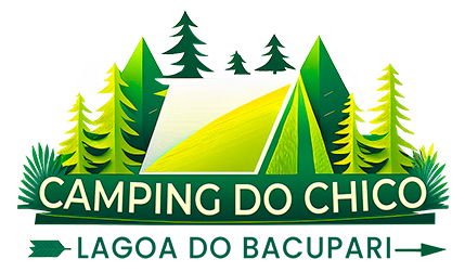 logo camping do chico